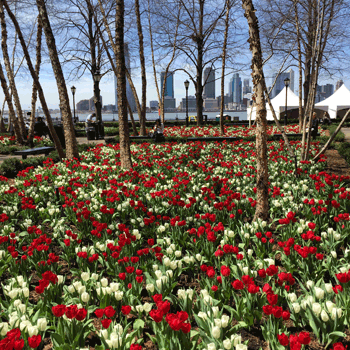 Battery Park