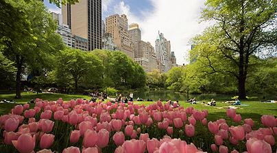 Central Park