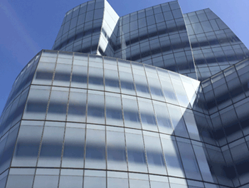 Frank Gehry Building