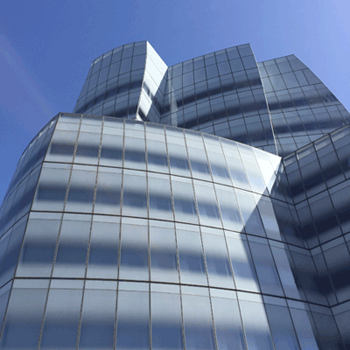 Frank Gehry Building