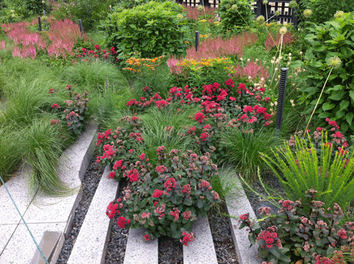 The High Line