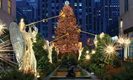 A maior árvore de Natal do mundo!!!