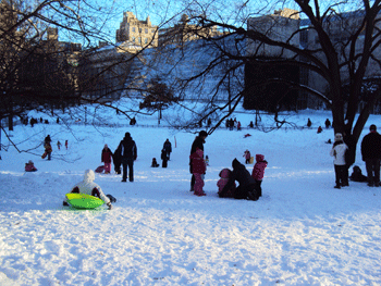 Central Park com neve !!