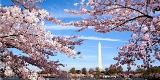 Viagem para passar o dia em  Washington DC