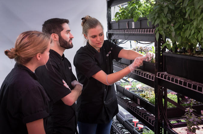 Curso de hidroponia e agricultura interna