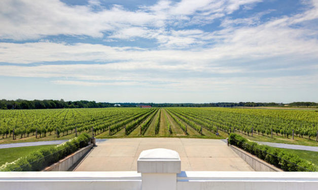 Long Island Vineyards e Southampton Luxury Tour em português