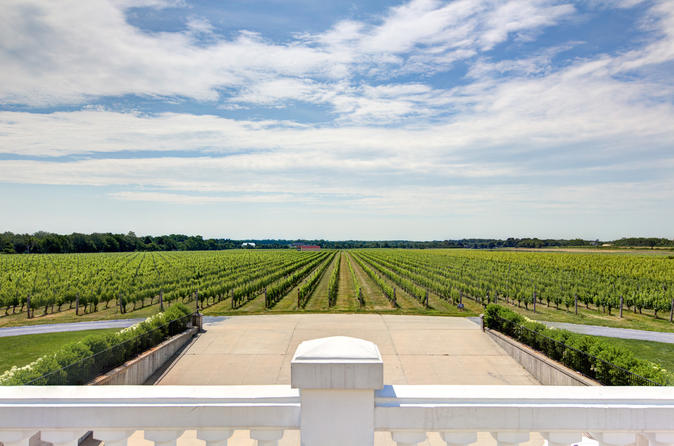 Long Island Vineyards e Southampton Luxury Tour em português